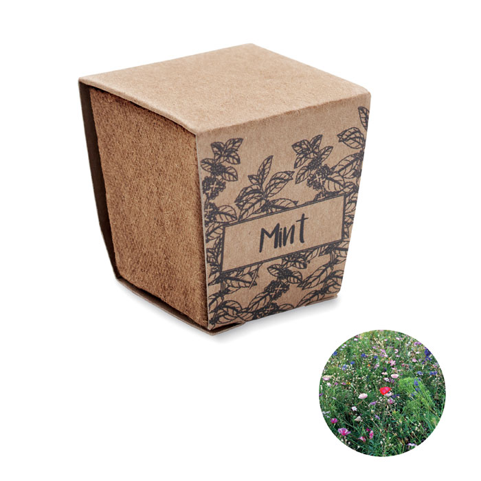 Kit de graines de menthe