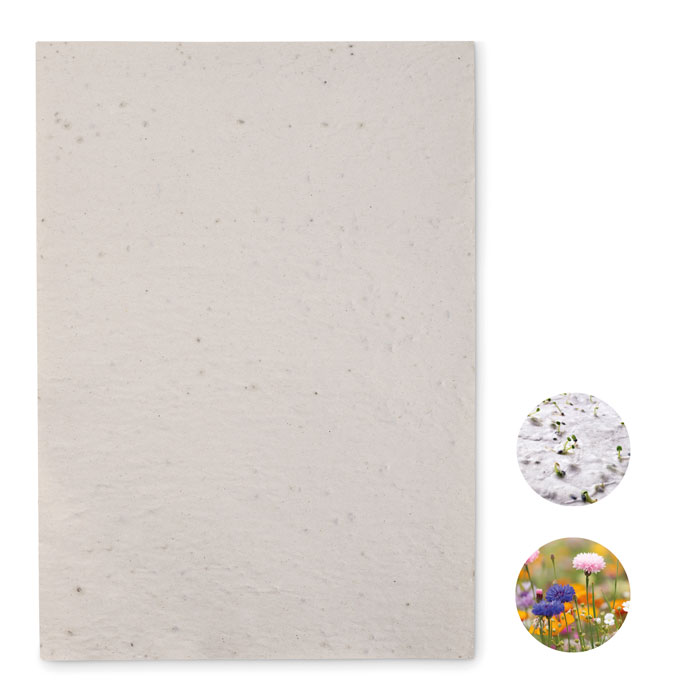 Papier A4 graines de fleurs