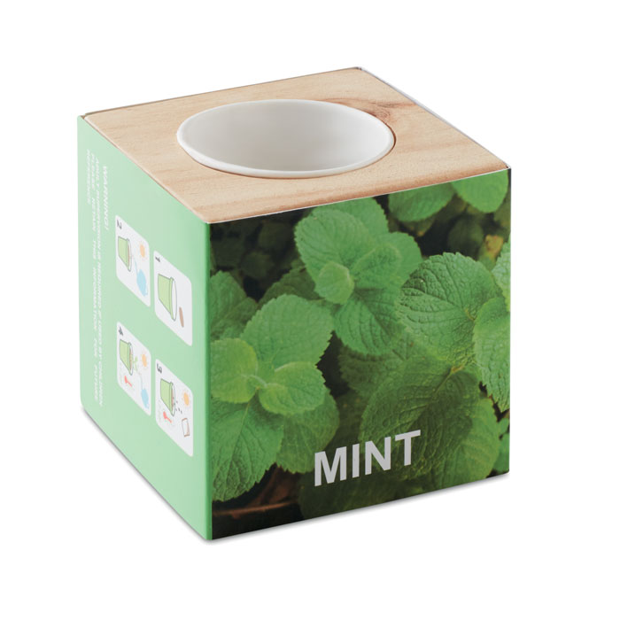 Pot en bois avec graine